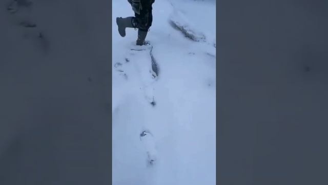 ? Огромный осётр монстр! Зимняя рыбалка. Ловля осётра. смотреть онлайн