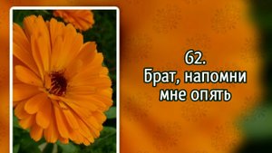 Гимны надежды 62 Брат, напомни мне опять (-)