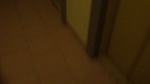 Электрический лифт V=1 м-с, грузоподъемность 400 кг (2223)