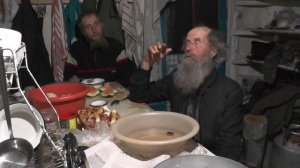 Жук плавунец.  Тайной покрыта  вся жизнь.