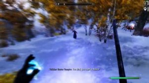 Skyrim [104]