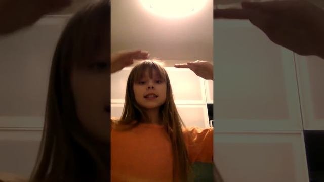 Шиншиллы всё о них