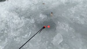 РЫБАЛКА ПРИМОРСКИЙ КРАЙ Р. СУЧАН ПЕСТРУШКА . ЛОВИМ ИЗ ОДНОЙ ЛУНКИ #ПРОСТАЯРЫБАЛКА