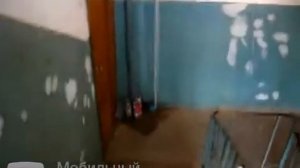 Потоп в Михнево Ступинского района