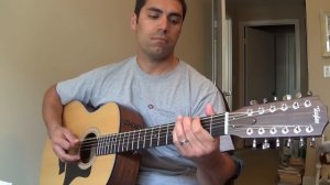 Taylor 12 string Model 356e