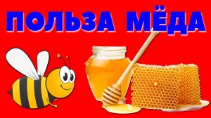 Полезные свойства меда / Польза меда для здоровья человека / Чем полезен пчелиный мёд