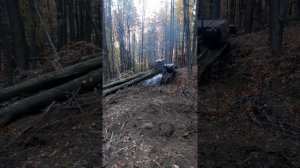 тдт 55 трелёвка