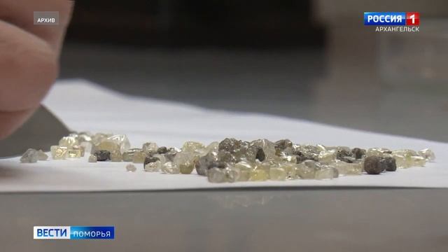 В Поморье может появиться совершенно новое производство по выращиванию искусственных алмазов