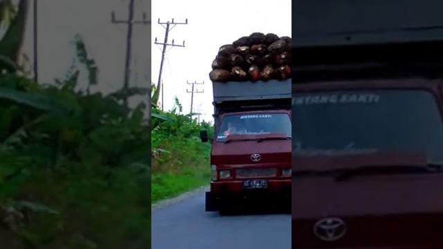 TOYOTA DYNA RINO MASIH JOS‼️