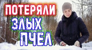 ПОГИБЛИ СИЛЬНЫЕ ПЧЁЛЫ, ЧТО БУДЕТ С ОСТАЛЬНЫМИ? 24.02.24.