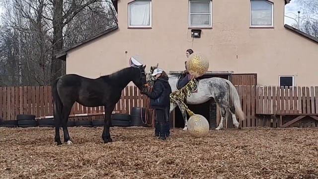 Жеребчик и его мама знакомятся с большими и "страшными" шарами :) ЧК Реприз СПб.