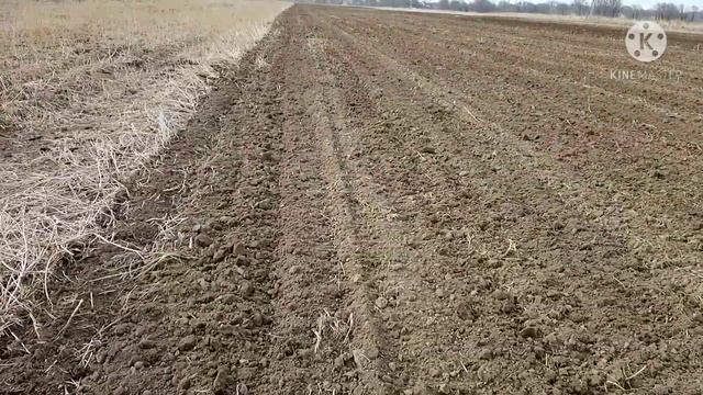Дисковка дисковым плугом после глубокорыхлителя по поливной земле.