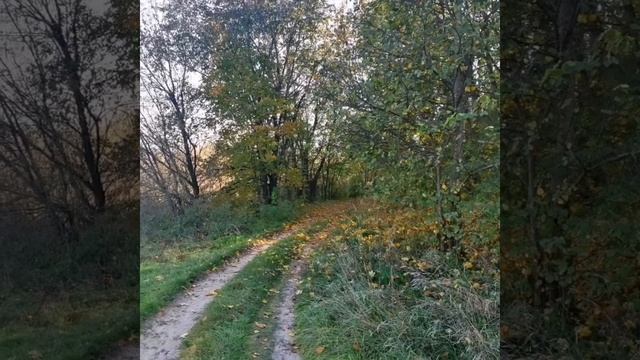 Осень. Ущерпье смотреть онлайн