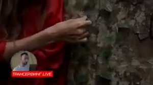 Трансерфинг реальности. Как вернуть любимого человека [2021] Вадим Зеланд