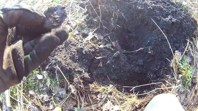 Эквинокс 800 .Находку вырвали из рук,что за дела .Коп 2019.