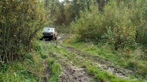 Нива рулит. Contyre Expedition 225/75/16/ Антибобёр 2016.