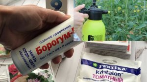 СРЕДСТВА ДЛЯ УРОЖАЯ ТОМАТОВ И ПЕРЦЕВ. Нет пустоцветов, нет фитофторы