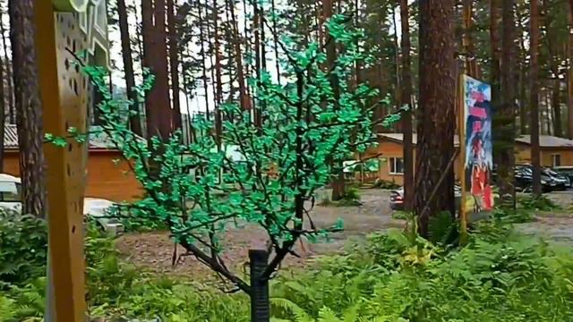 Алтай, июль 2024. 3 серия. Камышлинский водопад. Рыбалка на форелевом озере. Сплав по Катуни.