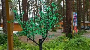 Алтай, июль 2024. 3 серия. Камышлинский водопад. Рыбалка на форелевом озере. Сплав по Катуни.