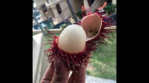 Огород. Причудливые формы