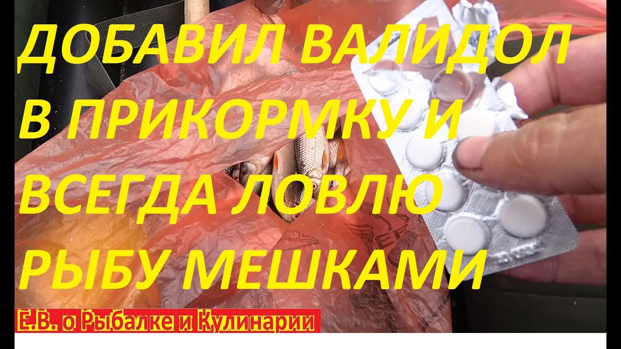 ДОБАВИЛ ВАЛИДОЛ В ПРИКОРМКУ И ТЕПЕРЬ ВСЕГДА ЛОВЛЮ РЫБУ МЕШКАМИ, РЫБА КЛЮЕТ КАК ОДУРЕВШАЯ.