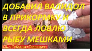 ДОБАВИЛ ВАЛИДОЛ В ПРИКОРМКУ И ТЕПЕРЬ ВСЕГДА ЛОВЛЮ РЫБУ МЕШКАМИ, РЫБА КЛЮЕТ КАК ОДУРЕВШАЯ.