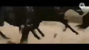 Торебек Кутжанов.Барак батыр