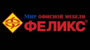 Конференция компании "Феликс" 15.11.2017