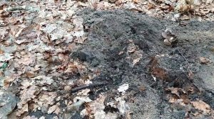 Поиск с глубинником Golden Mask Deep Hunter Pro 3 SE