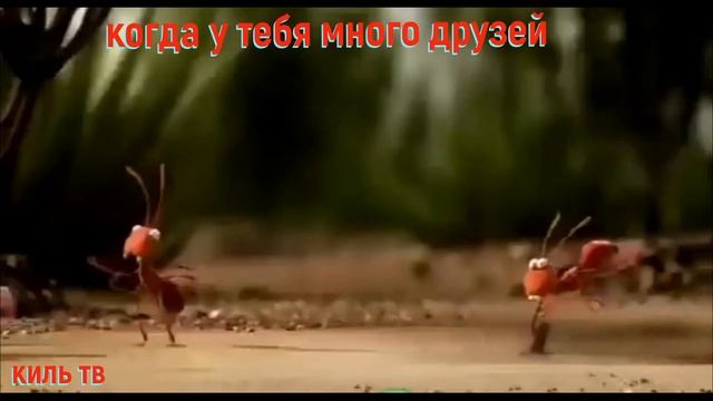 Друзей много не бывает..лучшие приколы.Ржал целый час. Шикарные приколы. смотреть онлайн