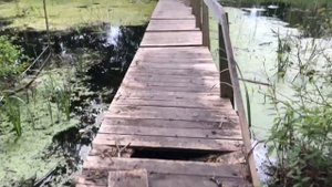 Один день в Калужской области. Национальный парк Угра и его окрестности