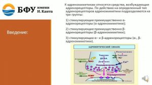 Адренергические средства