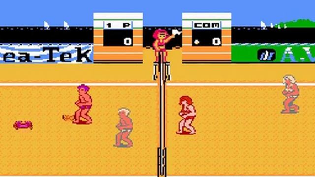 NES - Venice Beach Volleyball