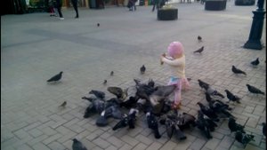 Нападение голубей на беззащитного человека