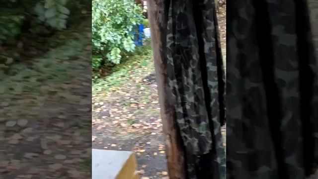 Оз. Среднее куйто. рыбалка и внутренийй конкурс для своих.