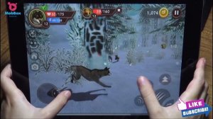 WildCraft Animal Sim Online 3D #4 "New Update" Wild Wolf Pet Simulator Games Android ios Gameplay