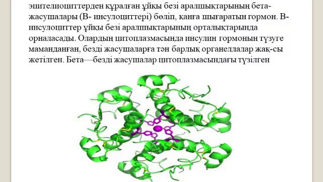 Инсулин мен эстроген мысалдарында гормондардың нысана жануарларға әсер ету механизмдері, 11 сынып,