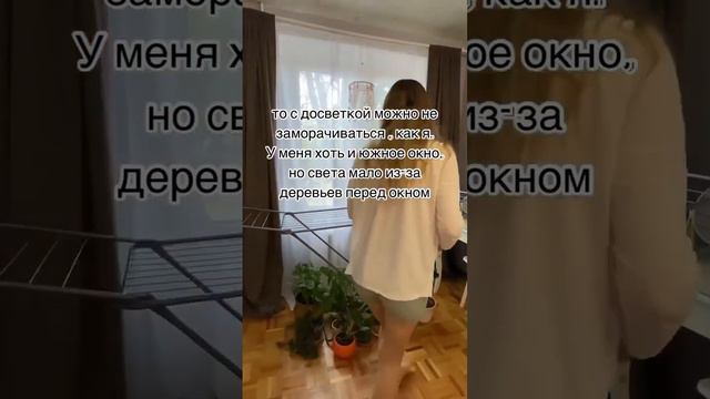 Как оставить растения на время отъезда или отпуска? Выход есть! #комнатныерастения #джунглидома