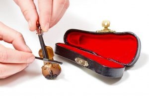 Самая маленькая скрипка.