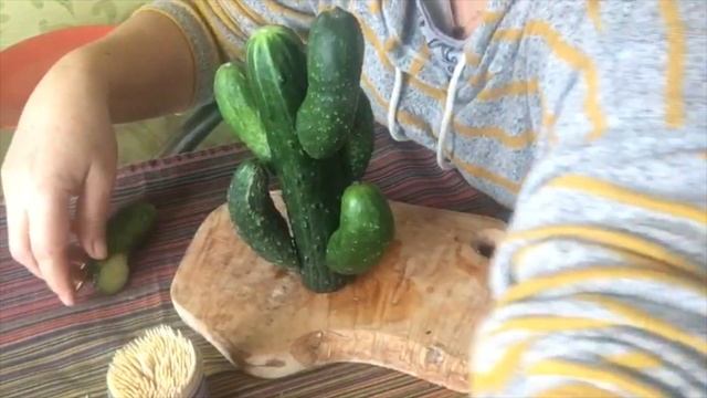 Выращиваем КАКТУС из огурцов. Мастерская Ольги Ёжиковой