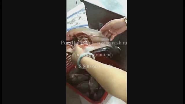 Обзор разделки  рыбы на  бабочку от РостПищМаш