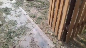 Алабай копает ямы во дворе... Как я поступаю в этих ситуациях