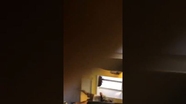 Фаррух Жураев смотреть онлайн