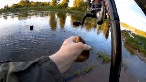 Ловля на поплавок на Десногорском водохранилище