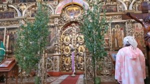 День Святой Троицы. Пятидесятница. Божественная Литургия.