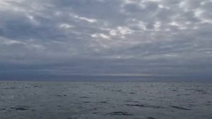 22. März 2021 Первый выезд на новой лодке. Беркут Л ХТ ПРО