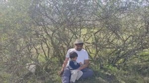 Семейный Поход   Обед Азербайджанская Кухня Деревенская Кухня  Рецепты