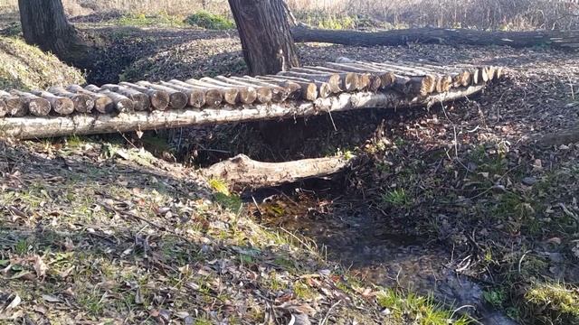 Памятник природы. Липецкая область. Храм Дмитрия Солунского с. Коробовка. Святой источник.