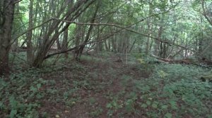 Наш поход от ж/д ст. Афапостик. 2-й и 3-й день.