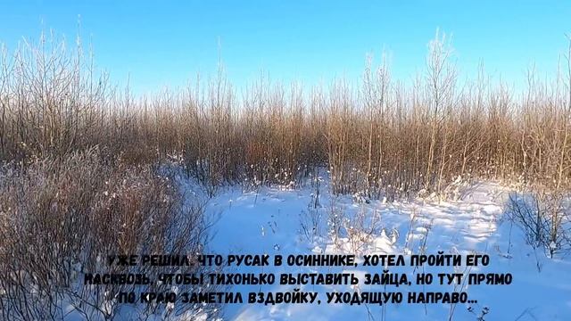 Русак с подъема смотреть онлайн